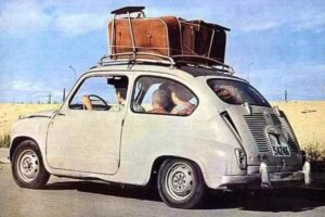 Antonio Amengual Mulet