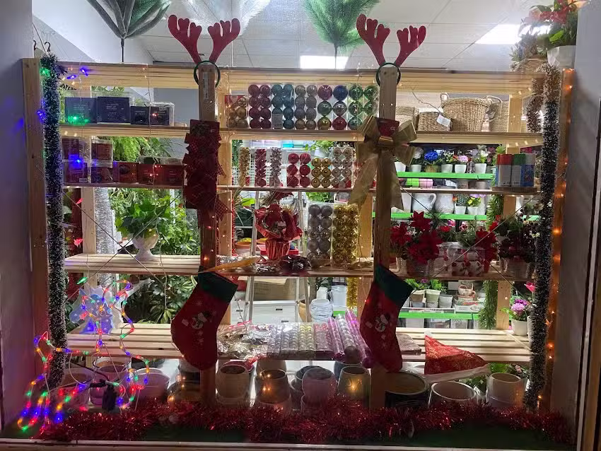 C-Market Deracion Macetas Alimentaci&oacute;n Bebidas Ferreter&iacute;a Papeler&iacute;a Hogar