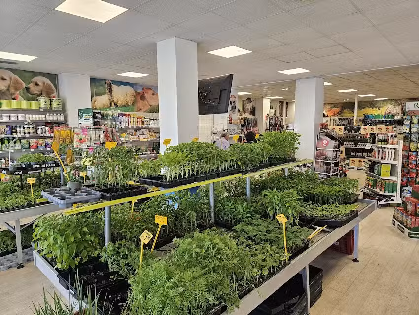 Campoastur Avil&eacute;s