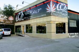 CO2 Grow Shop Arganda | Cultivo y CBD Madrid