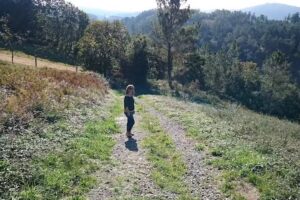 Comercial Alfonso Souto S.L.