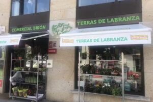Comercial Brion &ndash; Terras de Labranza