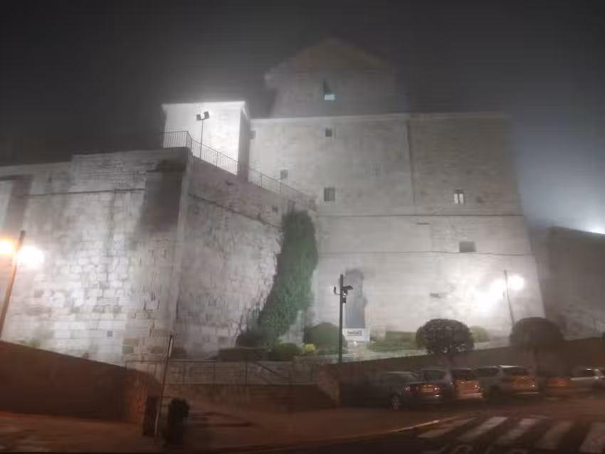 David Sim&oacute;n Gonz&aacute;lez