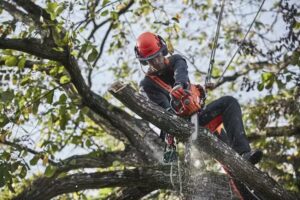 Fernández Solís Husqvarna Avilés