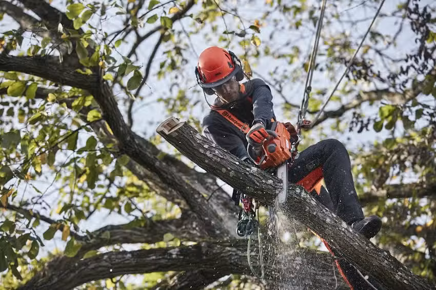 Fern&aacute;ndez Sol&iacute;s Husqvarna Avil&eacute;s