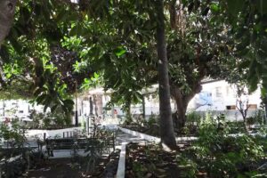 Ferreter&iacute;a bellaflor