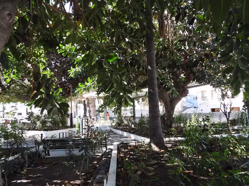 Ferreter&iacute;a bellaflor