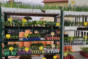 Ferreter&iacute;a Berto