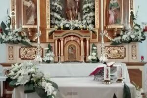 Ferreteria Floristeria El Repilado