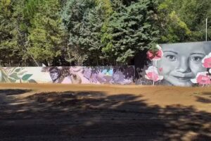 FERRETER&Iacute;A IB&Aacute;&Ntilde;EZ.