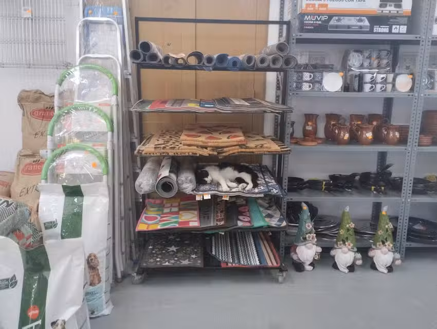 Ferreter&iacute;a las Luas, El Escobonal