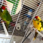 Ferreter&iacute;a los Pinos