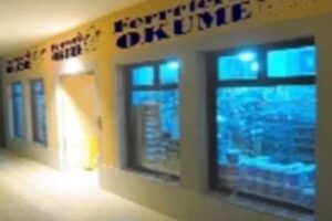 FERRETER&Iacute;A OKUME