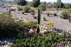 Ferreteria Y Pinturas Camposol Sl.