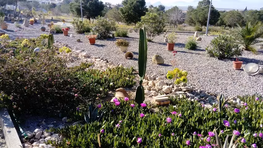 Ferreteria Y Pinturas Camposol Sl.