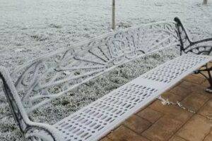 Garduño y Gómez Maquinaria Agricola