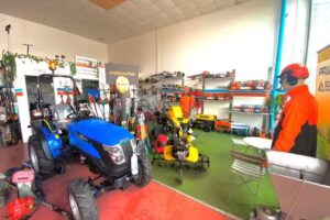 Levante Mantenimiento