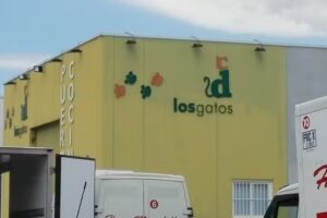 Los Gatos &ndash; Doorcats | Ibiza