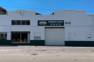 Maskoplants Xix&uacute;n