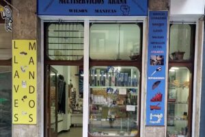 Multiservicios Wilson Manitas