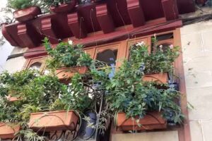 Otsaran Supermerkatuak – Cadena88