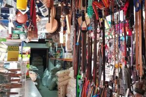 Piensos y plantas Millán