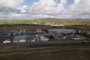 Sociedad Cooperativa Andaluza San Sebasti&aacute;n