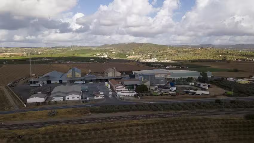 Sociedad Cooperativa Andaluza San Sebasti&aacute;n