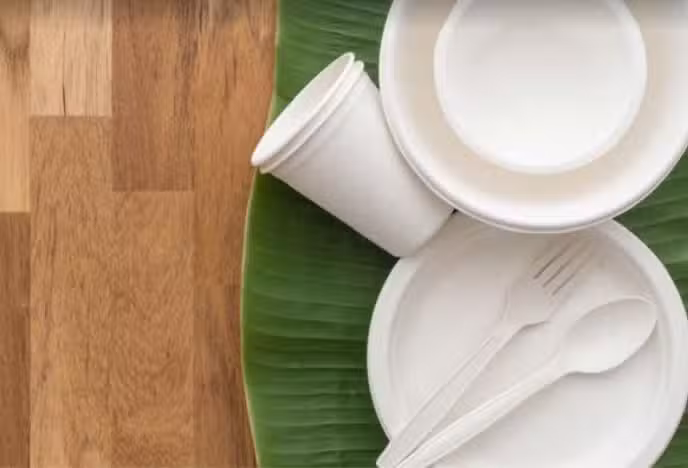 SURVAL DISTRIBUCIONES