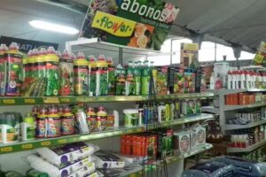 Vivero Horizon Forestal