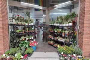 ZY Basar (Bazar Badalona Bufala)